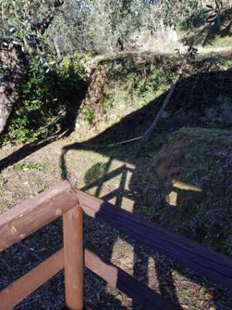 Foto Annesso agricolo in vendita a Calci 15000 mq  Rif: 594303