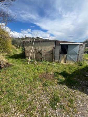 Foto Annesso agricolo in vendita a Capannoli 6500 mq  Rif: 1326738