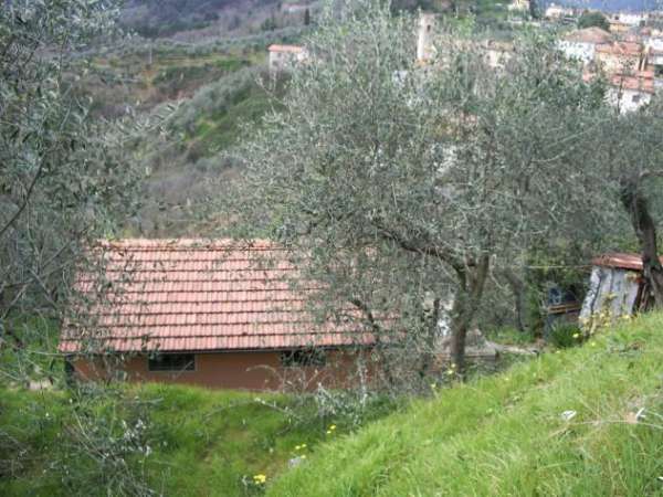 Foto Annesso agricolo in vendita a Piazzano - Lucca 7300 mq  Rif: 1230097