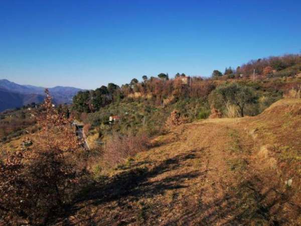 Foto Annesso agricolo in vendita a Ponzano Superiore - Santo Stefano di Magra 5439 mq  Rif: 1266108