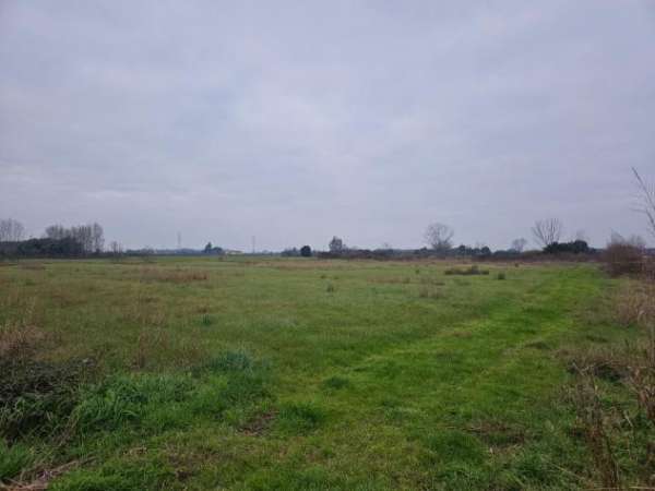 Foto Annesso agricolo in vendita a Visignano - Cascina 7800 mq  Rif: 1237564