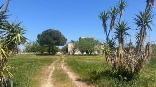 Foto antica masseria. lizzanello