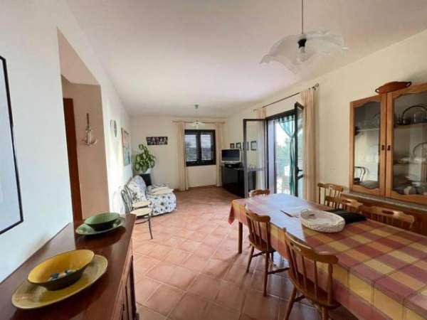 Foto Appartamento - Falerna . Rif.: 33123