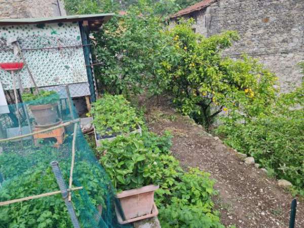 Foto Appartamento - Ventimiglia . Rif.: 233567