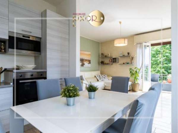 Foto Appartamento 3 locali con balconi a Monticello Brianza