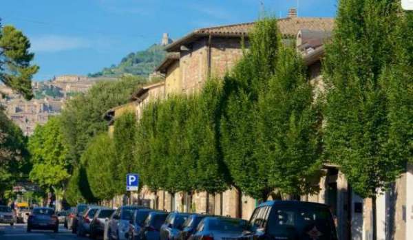 Foto Appartamento in vendita a Assisi - 6 locali 135mq