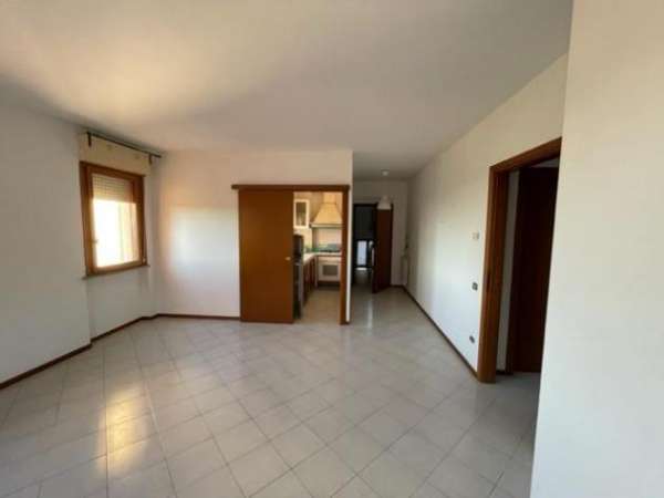 Foto Appartamento in vendita a Avane - Vecchiano 85 mq  Rif: 1238774