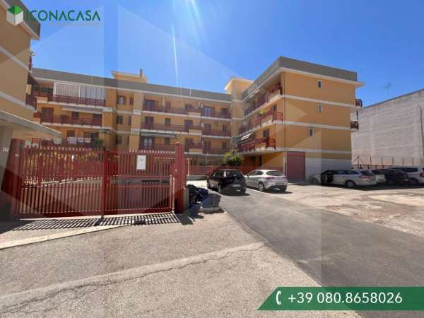 Foto Appartamento in vendita a Bitetto