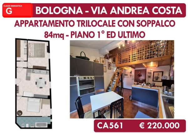 Foto Appartamento in vendita a Bologna
