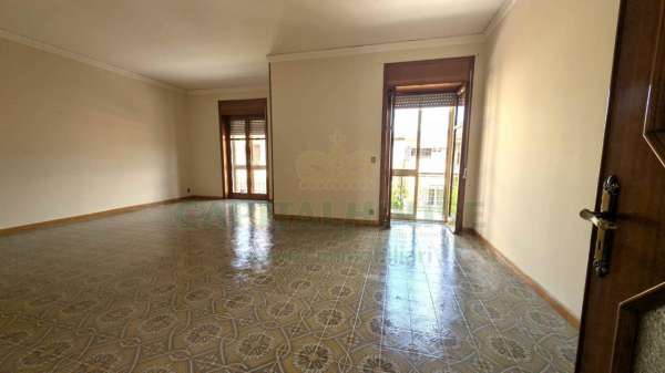 Foto Appartamento in vendita a Camposano