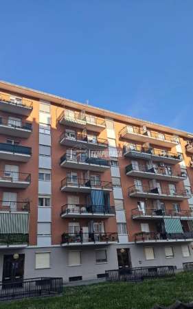 Foto Appartamento in vendita a Collegno