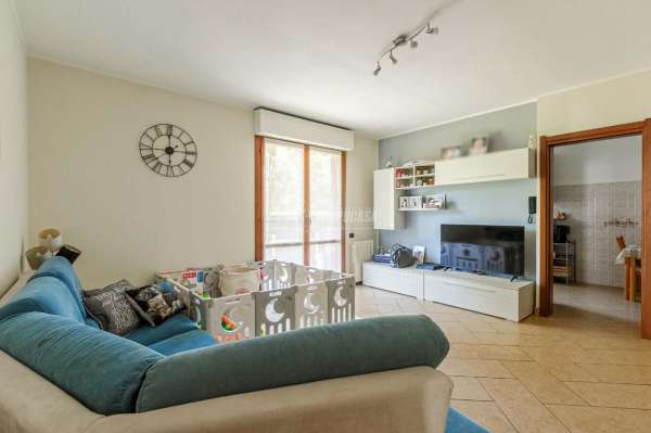 Foto Appartamento in vendita a Gallarate