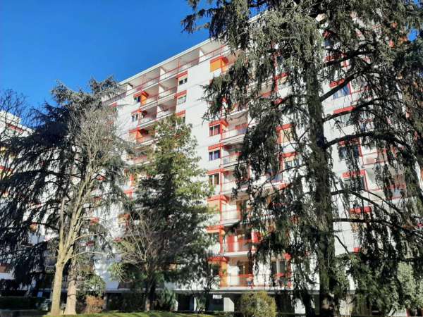 Foto Appartamento in vendita a Grugliasco