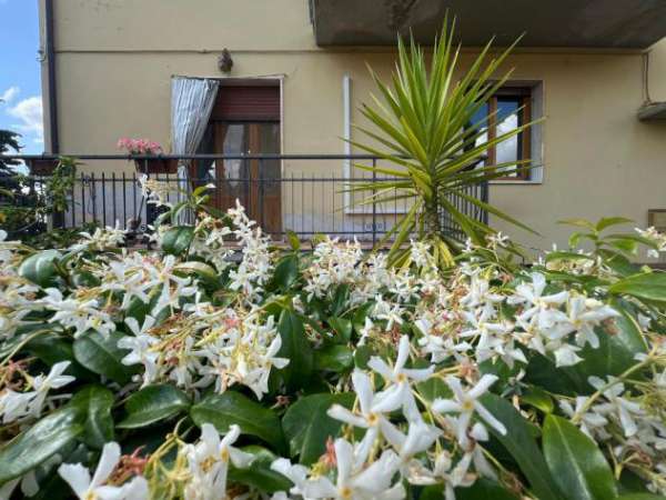 Foto Appartamento in vendita a Montagnana - Montespertoli 190 mq  Rif: 1269526
