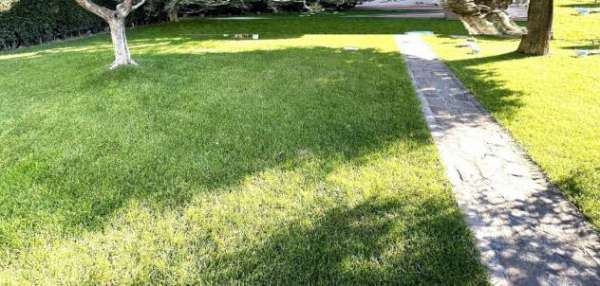 Foto Appartamento in vendita a Montelupo Fiorentino 255 mq  Rif: 1268731