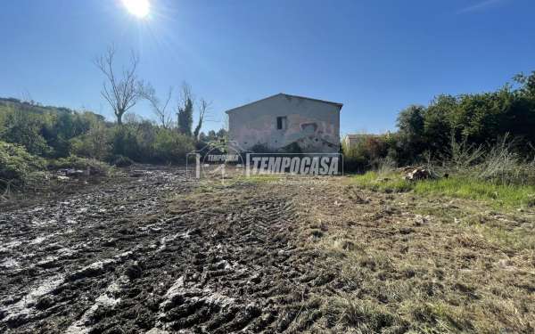 Foto Appartamento in vendita a Ostra