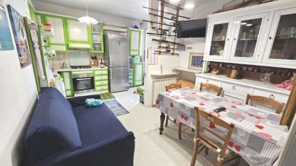 Foto Appartamento in vendita a Ronchi - Massa 50 mq  Rif: 1188646