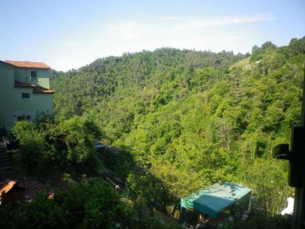 Foto Appartamento in vendita a Sorgnano - Carrara 70 mq  Rif: 977433
