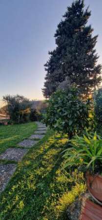 Foto Appartamento in vendita a Sorgnano - Carrara 80 mq  Rif: 1324750