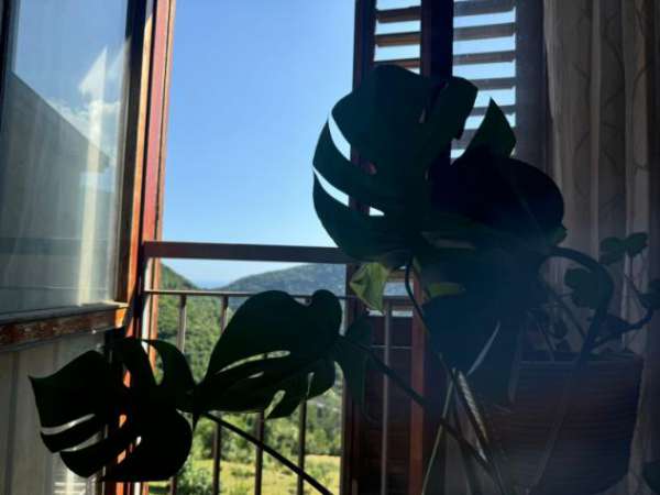 Foto Appartamento in Via Pietro Ciccullo