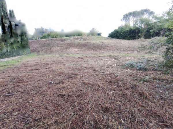 Foto AREA EDIFICABILE di 400 mq (VICCHIO) rif. AAH707