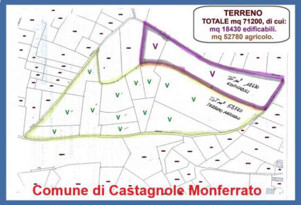Foto AREA EDIFICABILE di 71210 mq (CASTAGNOLE MONFERRATO - Castagnole) rif. E39