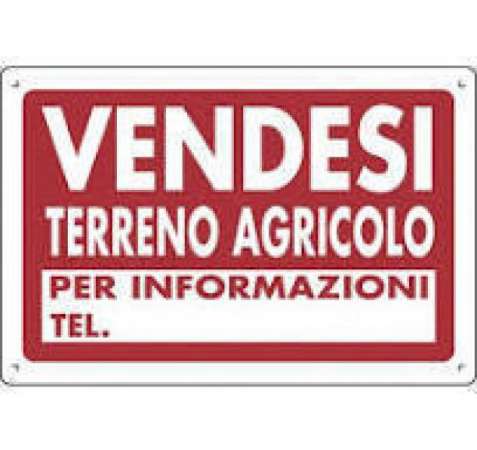 Foto Area verde in vendita a Pietrasanta