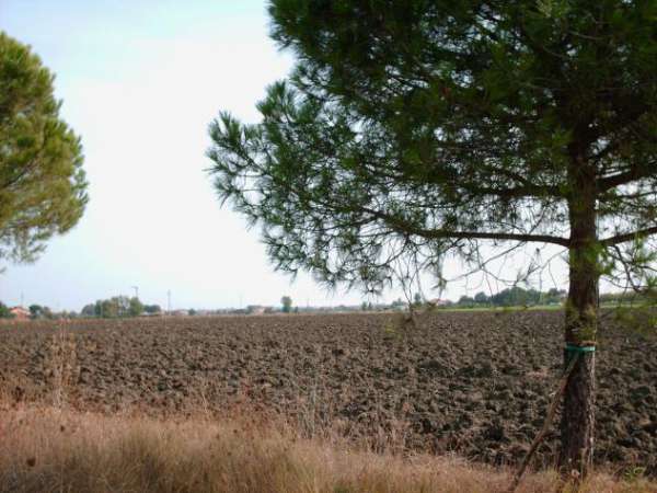 Foto Area verde in vendita a Rimini
