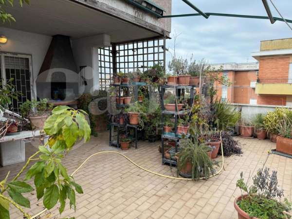 Foto Attico in vendita a Nettuno
