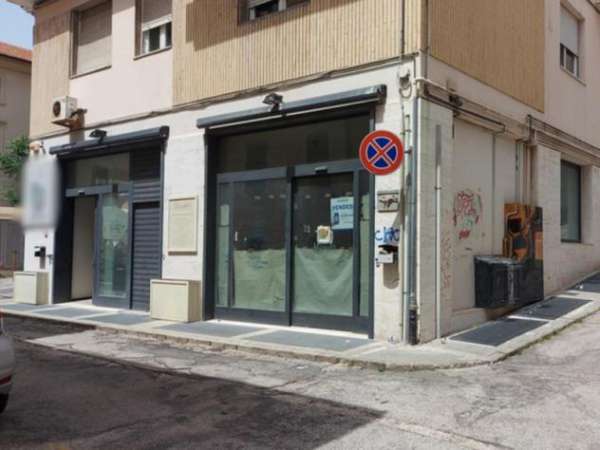 Foto Attivit  commerciale a Ancona - Rif. 18259