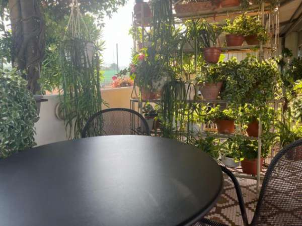 Foto Attivit  commerciale in vendita a Marina di Carrara - Carrara 600 mq  Rif: 1313342