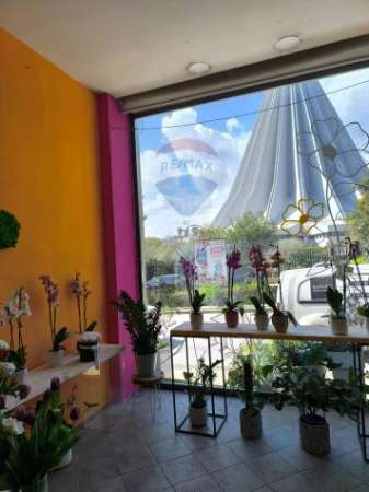 Foto Attivit Commerciale in vendita a Siracusa, Cadorna