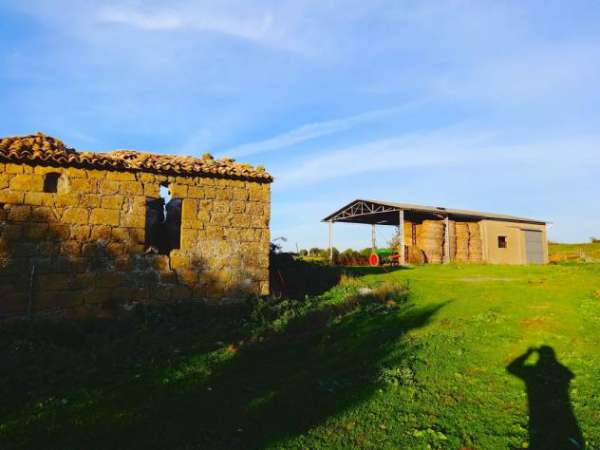 Foto Azienda agricola a soli 6km da Pitigliano, 24km dalle Terme di Saturnia, 12km dalle Terme di Sorano. La propriet  comprende circa 25 ettari di terreno