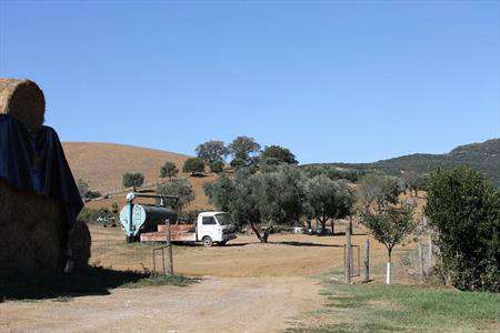 Foto Azienda agricola in Vendita, pi� di 6 Locali, 5 Camere, 250 mq (