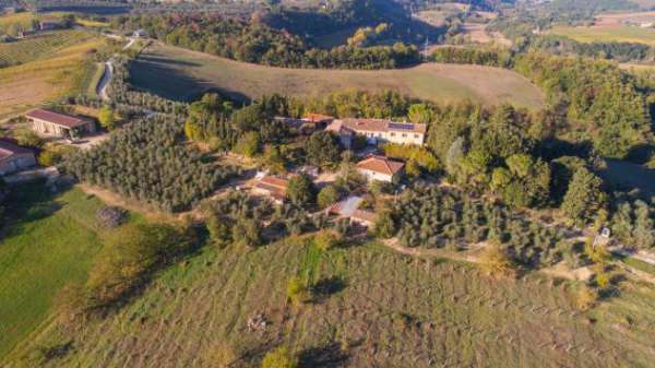 Foto Azienda agricola in vendita a Poggibonsi 2000 mq  Rif: 924809