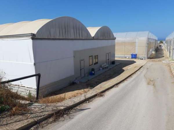Foto Azienda agricola mq 32000 in C.da Alcerito