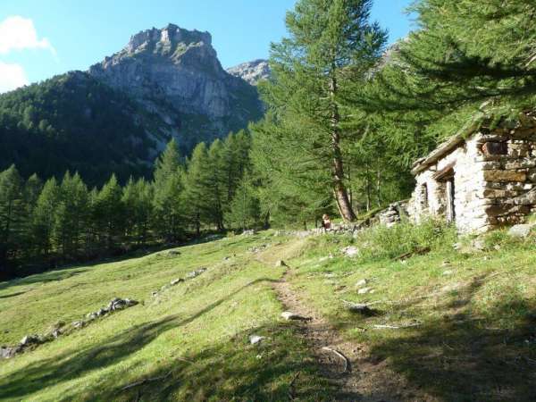 Foto Baita in vendita a Varzo