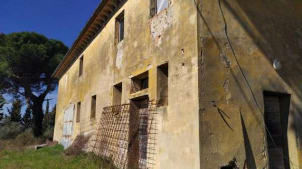 Foto Bellissimo Casale Diruto Da Restaurare Immerso nel Verde delle Colline Pisane della Valdera