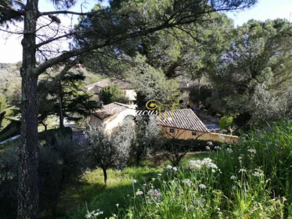 Foto BIFAMILIARE di 9 vani e di 370 mq (CRESPINA LORENZANA) rif. ABA/369