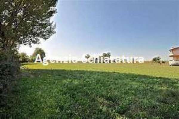 Foto BORGO SANTA MARIA VENDESI TERRENO AGRICOLO IN BELLA POSIZIONE MQ. 2.324