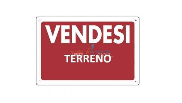 Foto Bosco in vendita a Massa