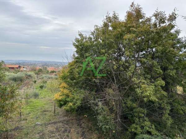 Foto Bosco in vendita a Zafferana Etnea