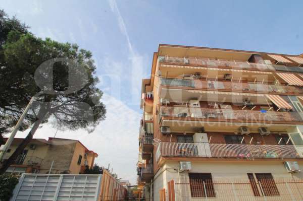 Foto Box in vendita a Arzano
