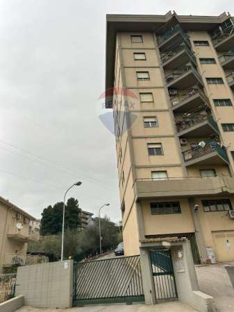 Foto Box in vendita a Caltanissetta