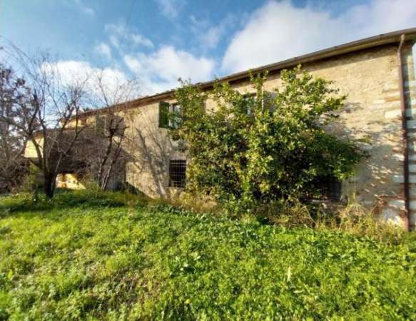 Foto Campagna di Pietrasanta vendesi Cascina