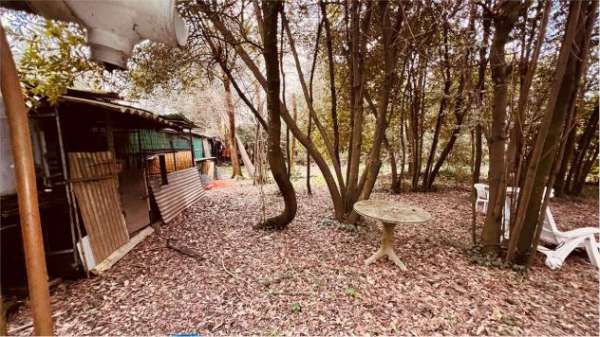 Foto Capann segro 900 - Capannone a Capannori - Segromigno in Monte