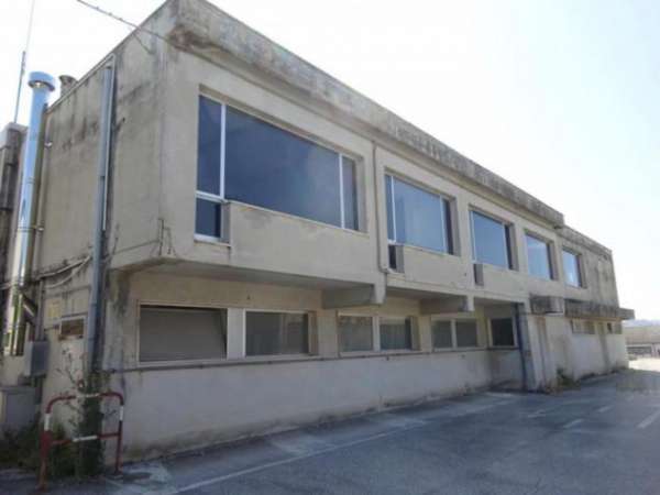 Foto Capannone a Castelfidardo - Rif. 2742