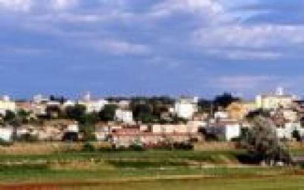 Foto Capannone commerciale in vendita a Collesalvetti 1300 mq  Rif: 1057257