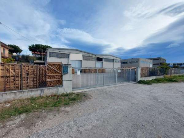 Foto Capannone Industriale - Tortoreto . Rif.: Cod. rif T906VCG