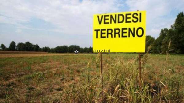 Foto CARRARA: Fano proponiamo in vendita terreno agricolo di circa 2.5 ha completamente pianeggiante, facilmente accessibile dalla confinante strada flamin